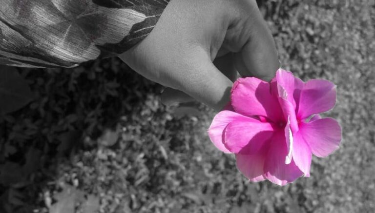 নয়নতারা – আল শাহারিয়া